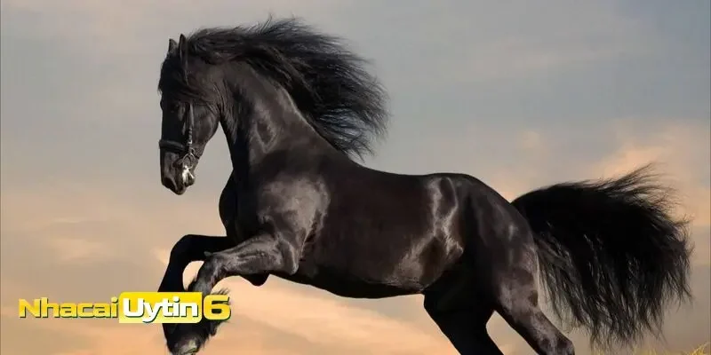 Giải mã điềm báo mơ thấy ngựa qua các trường hợp