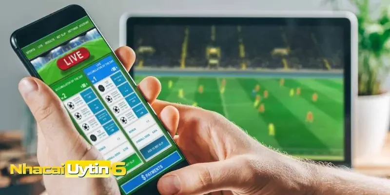 Tổng quan về giải V League