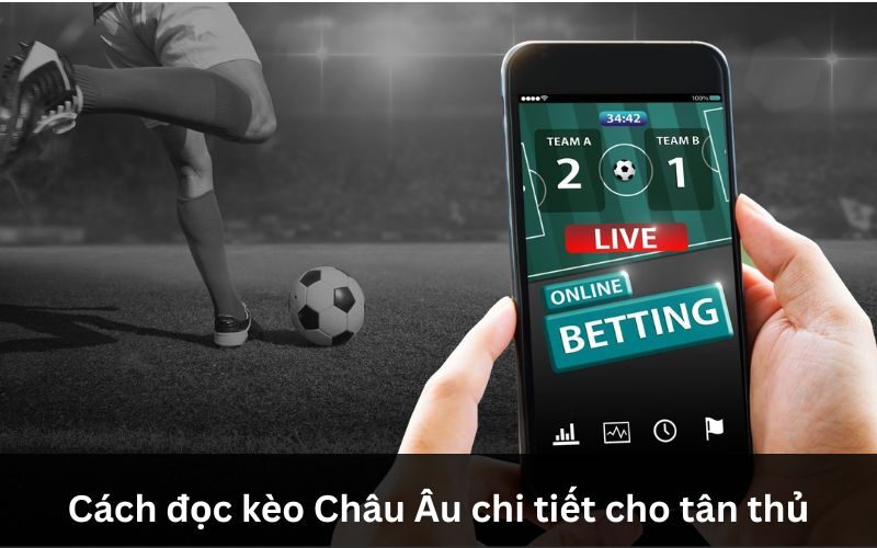 Cách đọc kèo Châu Âu đơn giản dựa trên tỷ lệ kèo và số tiền cược