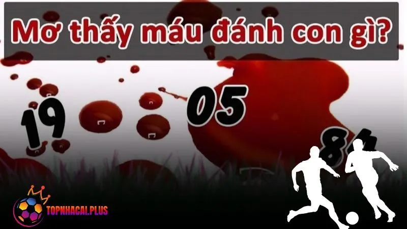 Giải mã giấc mơ thấy máu