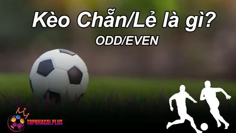 Kèo chẵn lẻ là gì? Tìm hiểu các loại kèo cược và lưu ý quan trọng