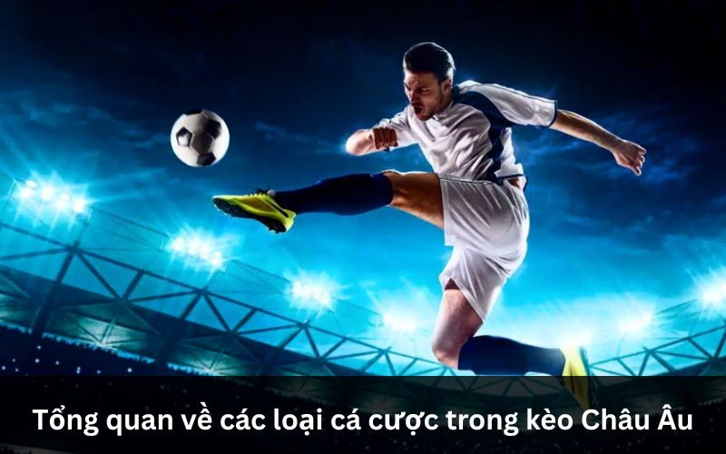 Đa dạng các loại kèo châu Âu như kèo 1X2, kèo chấp, kèo tài xỉu