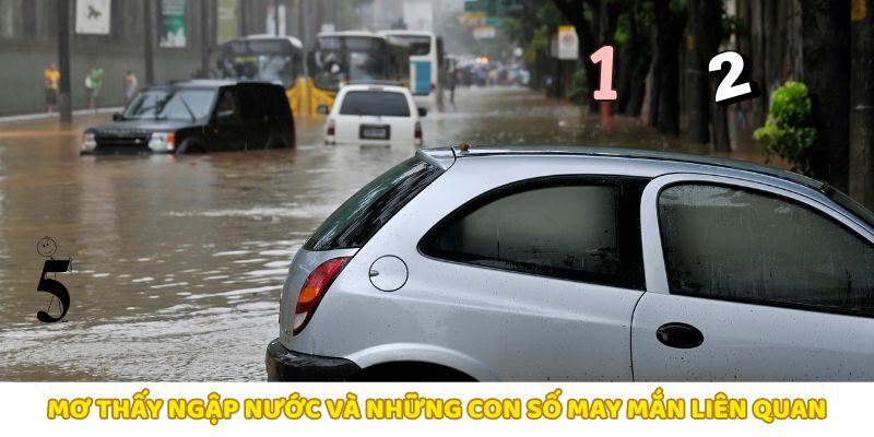 Giải mã giấc mơ nước ngập và con số may mắn cho bạn